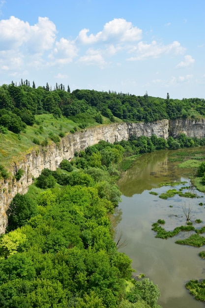 Blick auf den ehemaligen Fluss, der an den mit Gras und Bäumen bewachsenen Seiten zu einem Sumpf geworden ist