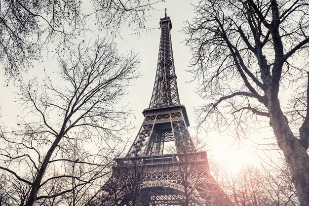 Blick auf den Eiffelturm durch die Bäume in Paris, Frankreich.