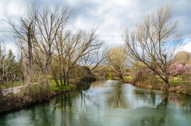 Foto blick auf den fluss carrion in der stadt palencia, kastilien und leon, spanien