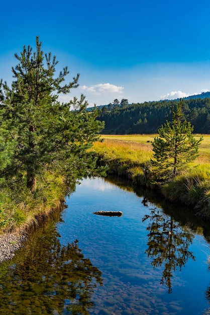 Blick auf den Fluss Crni Rzav auf dem Berg Zlatibor in Serbien?