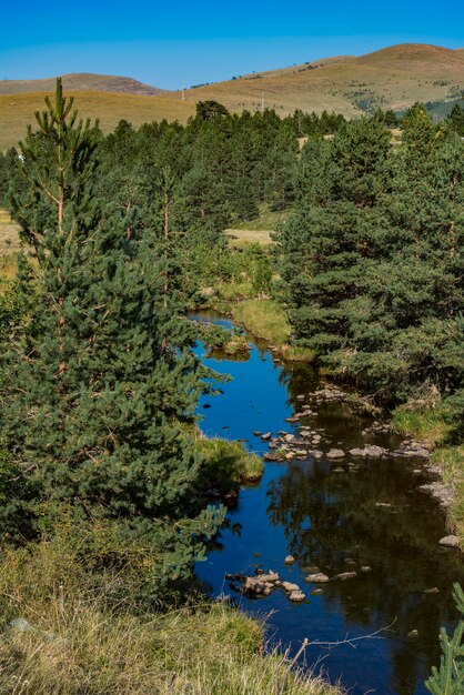 Blick auf den Fluss Crni Rzav auf dem Berg Zlatibor in Serbien?