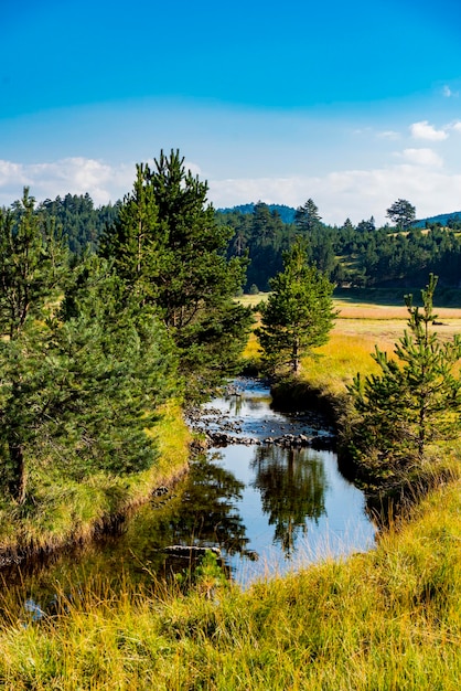 Blick auf den Fluss Crni Rzav auf dem Berg Zlatibor in Serbien?