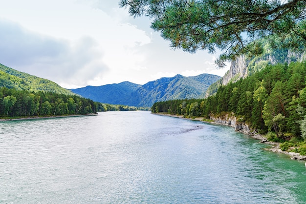 Blick auf den Fluss Katun von der Aussichtsplattform