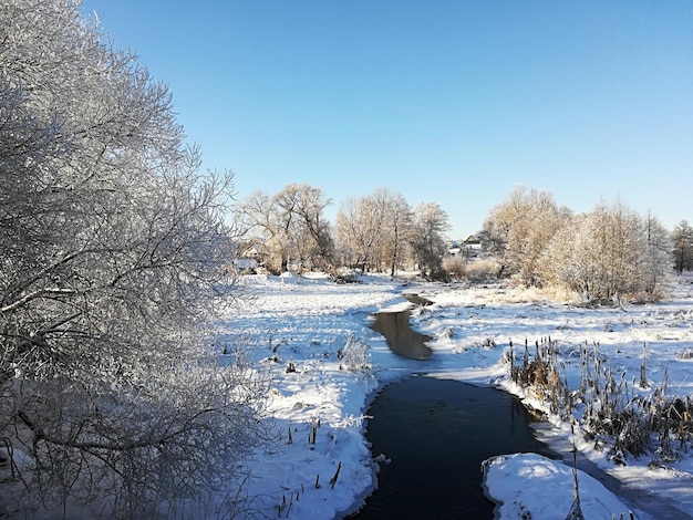 Blick auf den Fluss von der Brücke im Winter. Schneebedeckte Bäume. Heller sonniger Tag mit blauem Himmel.