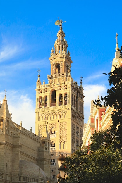 Blick auf den Giralda-Turm mit blauem Himmel