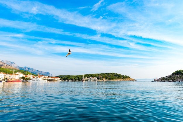 Blick auf den Hafen in der Adria in Makarska.