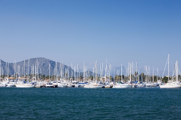 Blick auf den Hafen mit Freizeitbooten, Alcudia, Mallorca, Balearen, Spanien