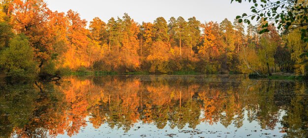 Blick auf den Herbstpark in schönen Farben