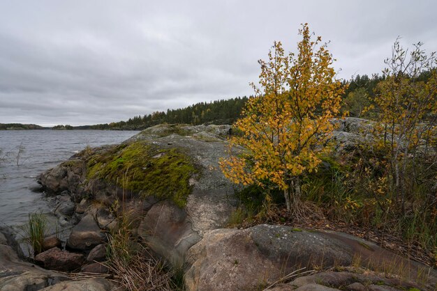 Blick auf den Ladogasee in der Nähe des Dorfes Lumivaara an einem Herbsttag Ladoga Schären Republik Karelien Russland