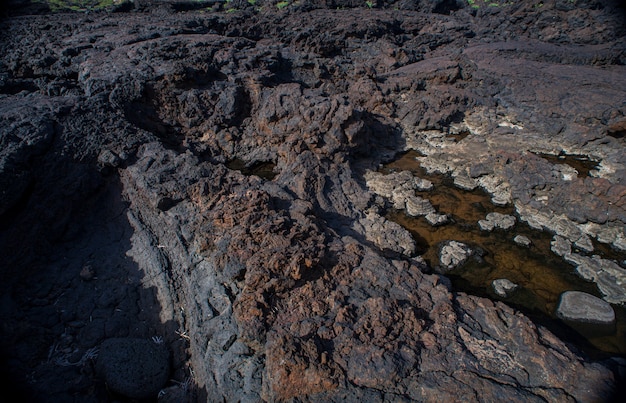 Blick auf den Lavafelsen an der Küste von Linosa, Sizilien. Italien