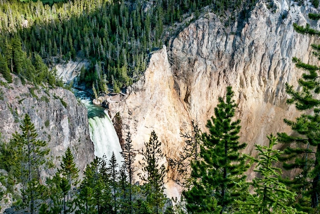 Blick auf den Lower Falls Wasserfall und die Yellowstone Canyon Cliff