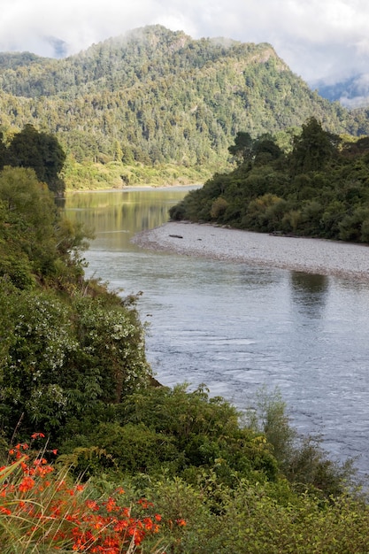 Blick auf den mäandernden Buller River in Neuseeland