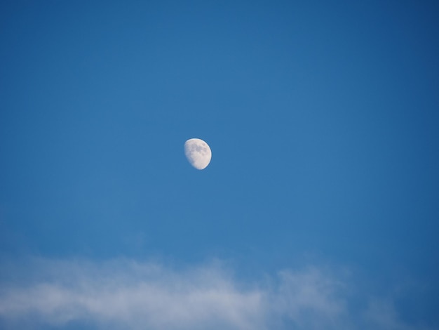 Foto blick auf den mond