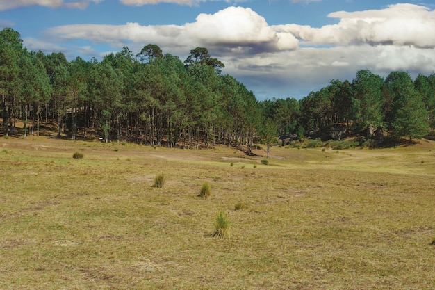 Blick auf den Naturpark Piedras Encimadas Puebla Mexiko im Hintergrund ein wunderschöner sehr grüner Wald