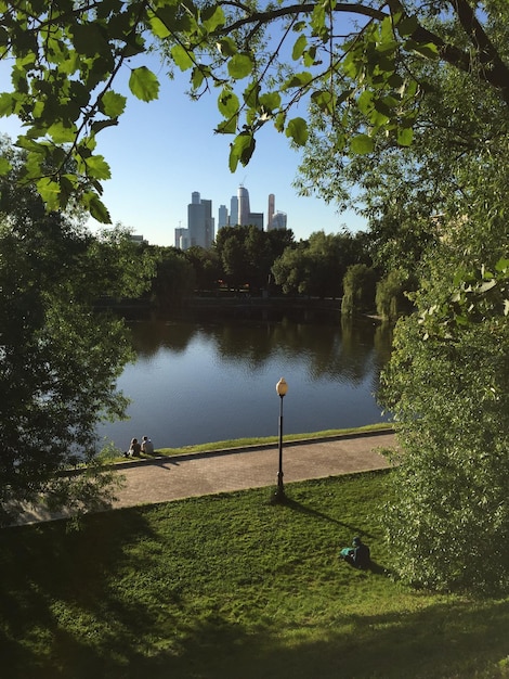 Blick auf den Park in der Stadt