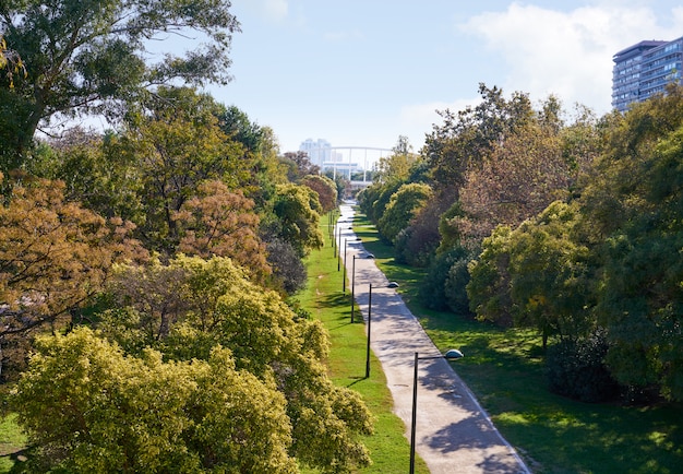 Blick auf den Parkgarten von Valencia Turia