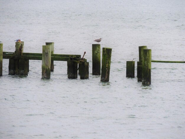 Foto blick auf den pier im meer