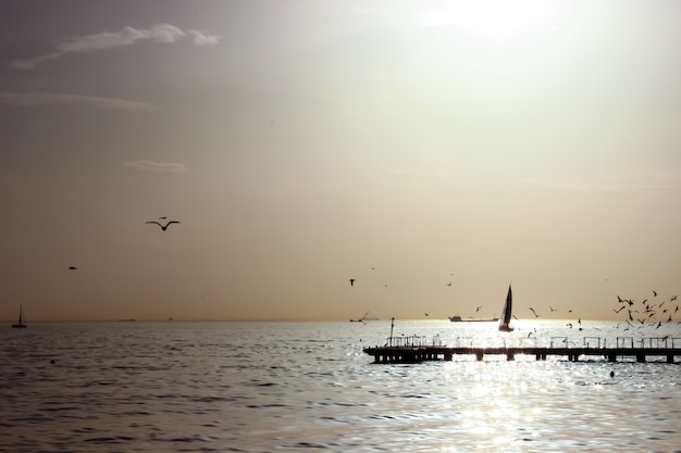 Blick auf den Pier mit Vögeln und Menschen