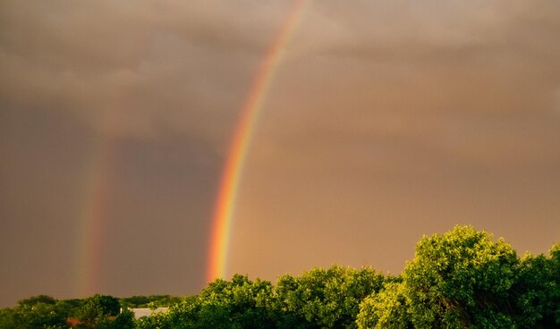 Blick auf den Regenbogen aus dem Fenster Dunkle Wolken nach Regen und Sonnenstrahlen Stadtlandschaft Baumwipfel und Dächer