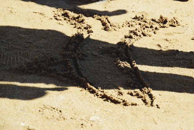 Foto blick auf den sandstrand