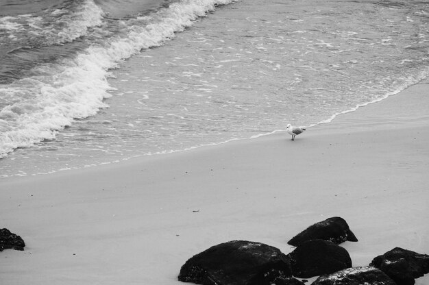 Foto blick auf den sandstrand