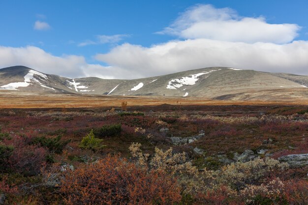 Blick auf den Sarek-Nationalpark im Herbst, Schweden