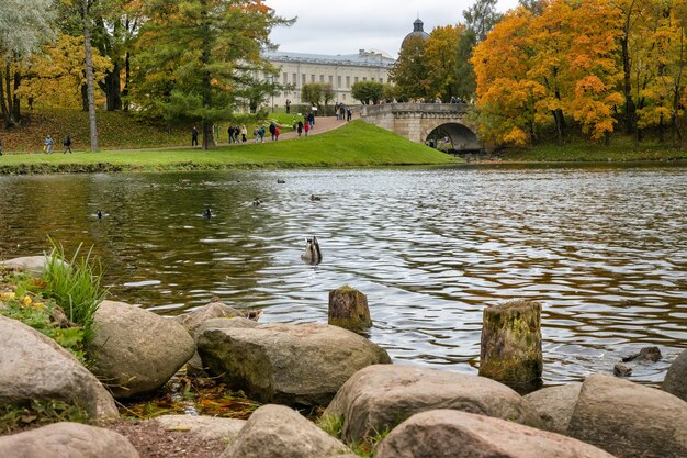 Blick auf den Schlosspark an einem Herbsttag Gatschina St. Petersburg Russland