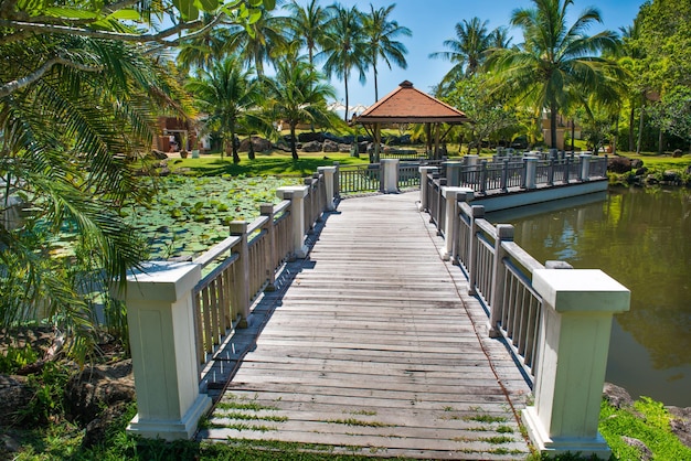 Blick auf den schönen grünen Lotusteich und die Gebäude des Luxushotels im tropischen Resort