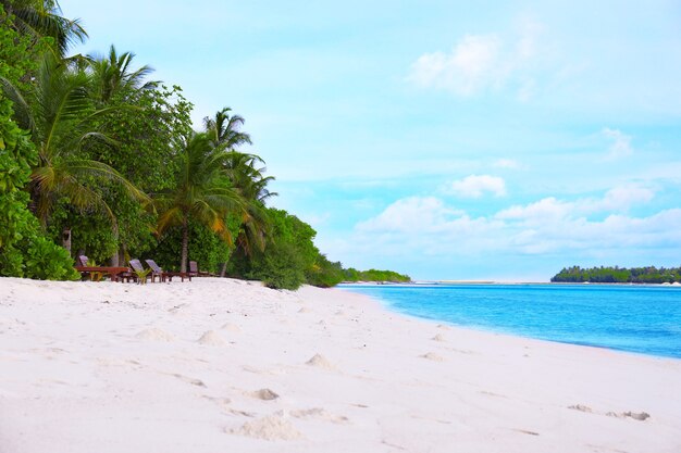 Blick auf den schönen Strand im tropischen Resort