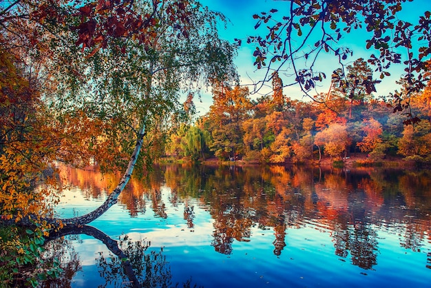 Blick auf den See mit herbstlichen gelben und grünen Bäumen und blauem Himmel, natürlicher saisonaler Hintergrund