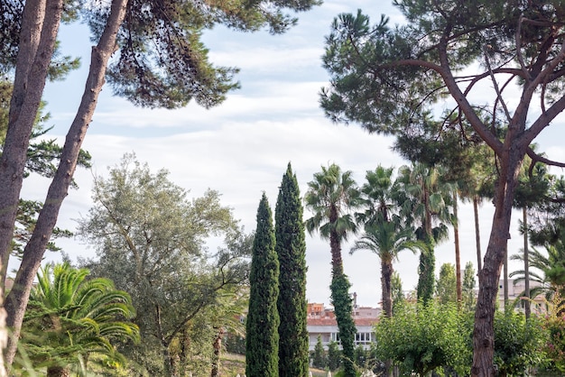 Blick auf den spanischen Ferienort Lloret de Mar Costa Brava Katalonien Spanien