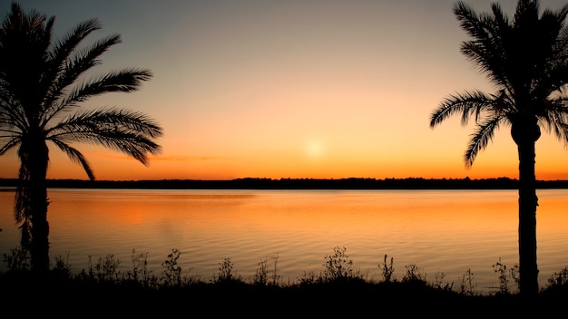 Blick auf den Strand mit Sonnenuntergang und Palmen