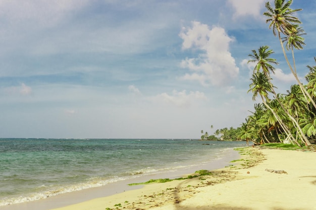 Blick auf den Strand von Little Corn Island, Nicaragua