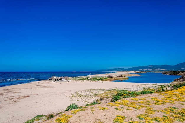 Blick auf den Strand von San Pietro a Mare in Sardinien