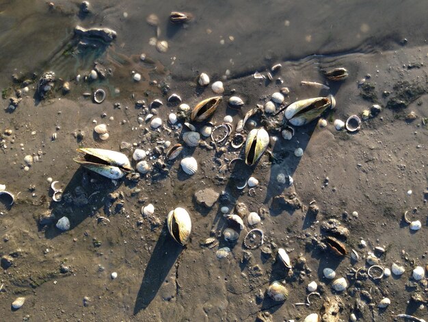 Blick auf den Strand