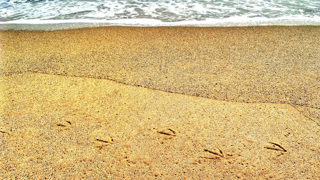 Foto blick auf den strand