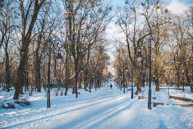 Blick auf den verschneiten Winterpark der europäischen Stadt