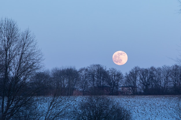 Blick auf den Vollmond über den Bäumen kopieren Raum