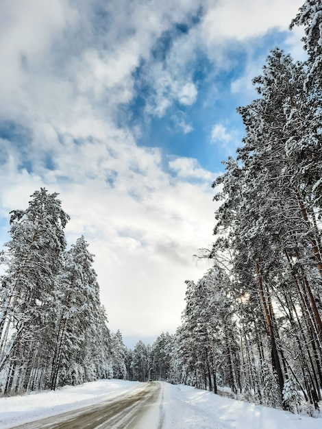 Blick auf den Wald und die Straße im Winter