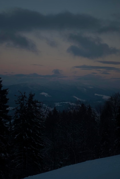 Foto blick auf den wald von fichten über den bergen im winter am abend