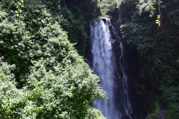 Blick auf den Wasserfall Peguche in den Bergen Es ist umgeben von grünen Wäldern voller Vegetation Ecuador