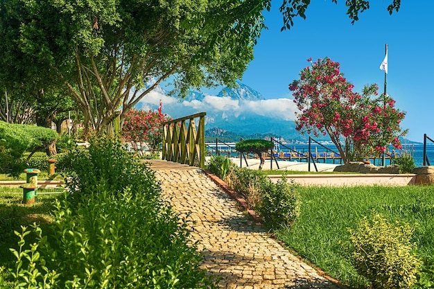 Blick auf den Weg und die Brücke in einem grünen Garten mit grünen Bäumen entlang der Böschung in Kemer Türkei