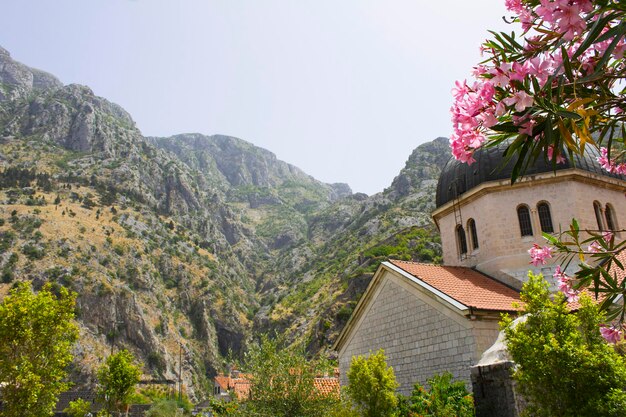 Blick auf die alte Kirche und die Berge an einem Sommertag. Kotor. Montenegro.