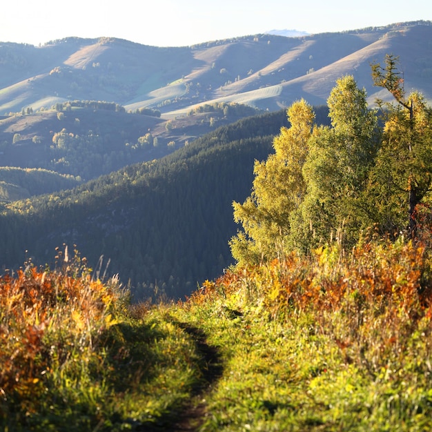 Blick auf die Berge im Herbst