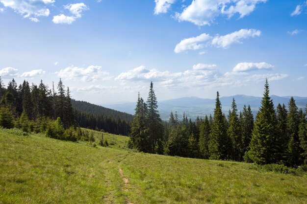 Blick auf die Berge in Karpaten