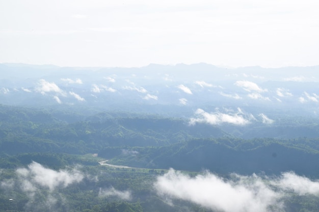 Blick auf die Berge mit bewölktem Himmel und totem Baumzweig hügeliges Waldfoto