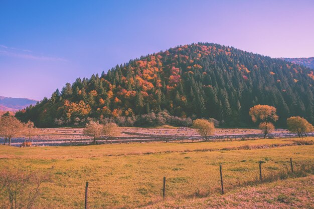 Blick auf die Berge und den Fluss im Herbst bei Sonnenaufgang