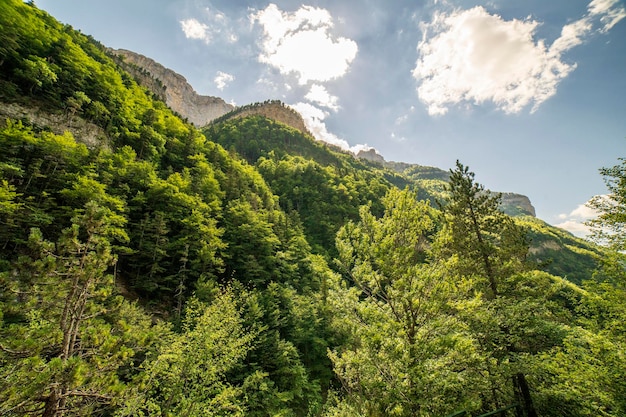 Blick auf die Berge und den Wald mit Sonnenstrahlen im Nationalpark Ordesa und Monte Perdido Aragon Huesca Spanien