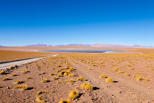 Blick auf die bolivianische Lagune, Bolivien. Blick auf die Lagune von Kollpa Kkota. Collpa Laguna