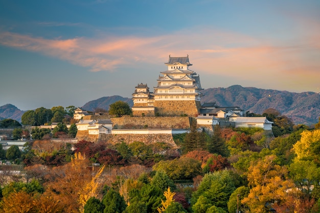 Blick auf die Burg Himeji (Herbstsaison) in Himeji Japan bei Sonnenuntergang